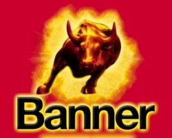 BANNER BATTERIES logo
